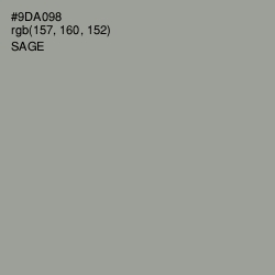 #9DA098 - Sage Color Image