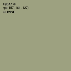 #9DA17F - Olivine Color Image