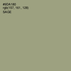 #9DA180 - Sage Color Image