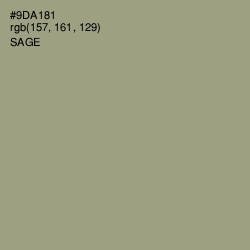 #9DA181 - Sage Color Image