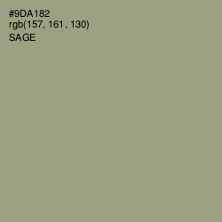 #9DA182 - Sage Color Image