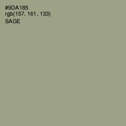 #9DA185 - Sage Color Image