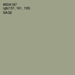 #9DA187 - Sage Color Image