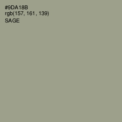 #9DA18B - Sage Color Image