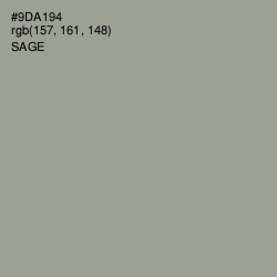 #9DA194 - Sage Color Image