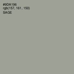 #9DA196 - Sage Color Image