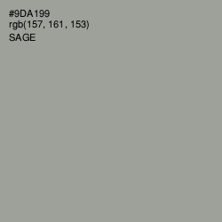 #9DA199 - Sage Color Image