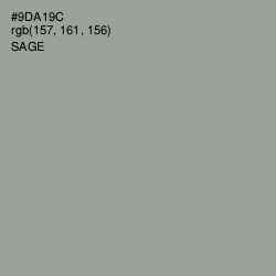 #9DA19C - Sage Color Image