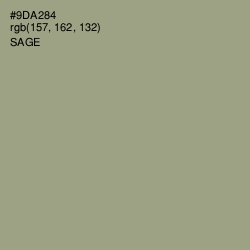 #9DA284 - Sage Color Image
