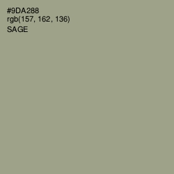 #9DA288 - Sage Color Image