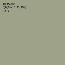 #9DA289 - Sage Color Image