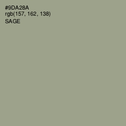 #9DA28A - Sage Color Image