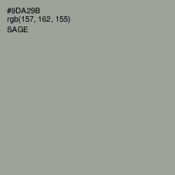 #9DA29B - Sage Color Image
