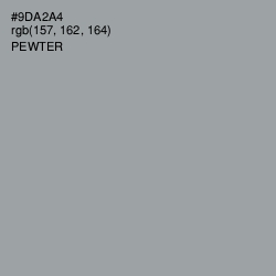 #9DA2A4 - Pewter Color Image