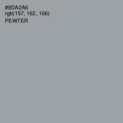 #9DA2A6 - Pewter Color Image