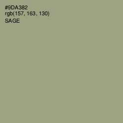 #9DA382 - Sage Color Image