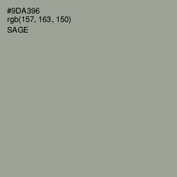 #9DA396 - Sage Color Image