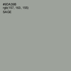 #9DA39B - Sage Color Image