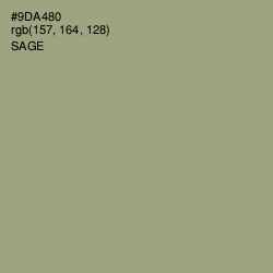 #9DA480 - Sage Color Image