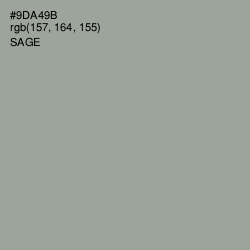 #9DA49B - Sage Color Image