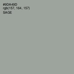 #9DA49D - Sage Color Image