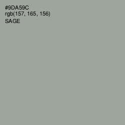 #9DA59C - Sage Color Image