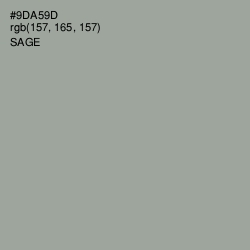 #9DA59D - Sage Color Image