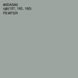 #9DA5A0 - Pewter Color Image