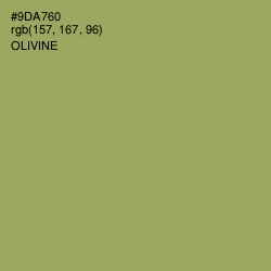 #9DA760 - Olivine Color Image