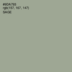 #9DA793 - Sage Color Image