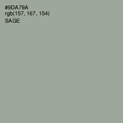 #9DA79A - Sage Color Image