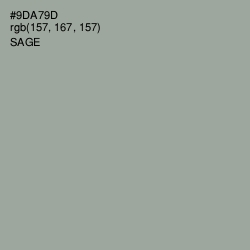 #9DA79D - Sage Color Image