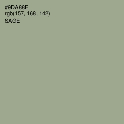 #9DA88E - Sage Color Image