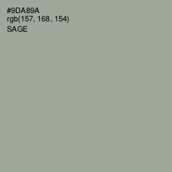 #9DA89A - Sage Color Image