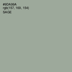 #9DA99A - Sage Color Image