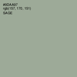 #9DAA97 - Sage Color Image