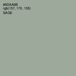 #9DAA9B - Sage Color Image