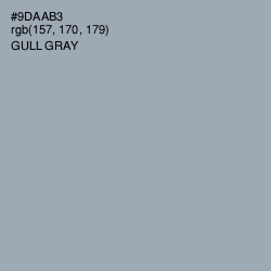 #9DAAB3 - Gull Gray Color Image