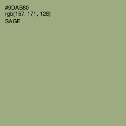 #9DAB80 - Sage Color Image