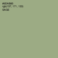 #9DAB85 - Sage Color Image