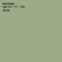 #9DAB86 - Sage Color Image