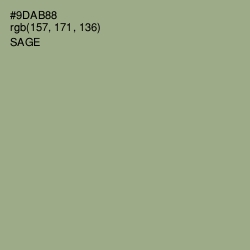 #9DAB88 - Sage Color Image