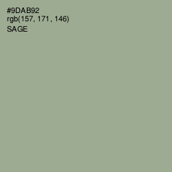 #9DAB92 - Sage Color Image