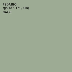 #9DAB95 - Sage Color Image