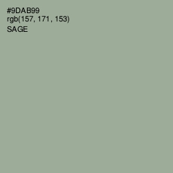 #9DAB99 - Sage Color Image