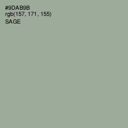 #9DAB9B - Sage Color Image