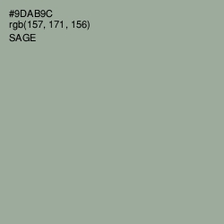 #9DAB9C - Sage Color Image