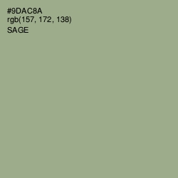 #9DAC8A - Sage Color Image