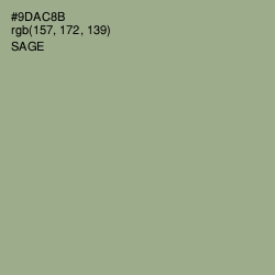 #9DAC8B - Sage Color Image