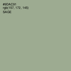 #9DAC91 - Sage Color Image